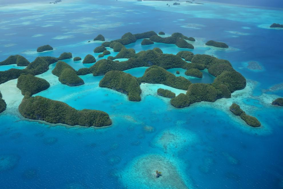[Mide Special Offer] Palau Adventure Dive Resort Scuba Diving Packages